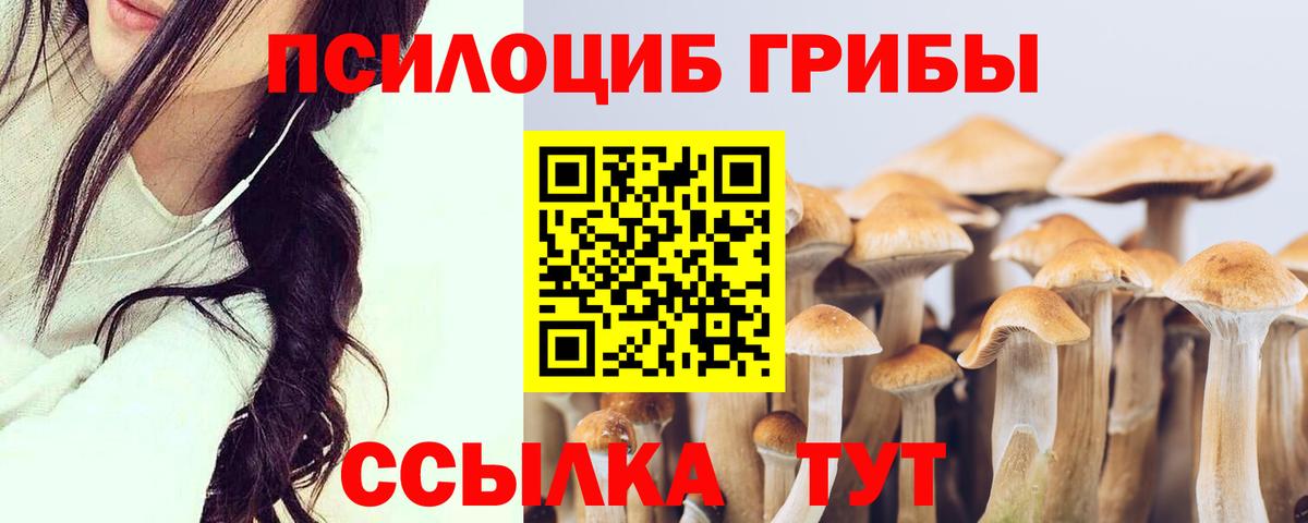 Галлюциногенные грибы MAGIC MUSHROOMS Кострома