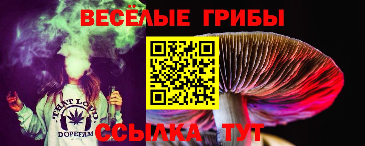 дарнет шоп  Вход с VPN  Кострома  Псилоцибиновые грибы мицелий 