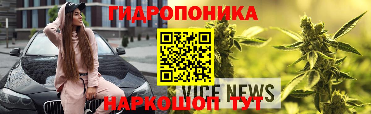 Бошки Шишки SATIVA & INDICA Кострома